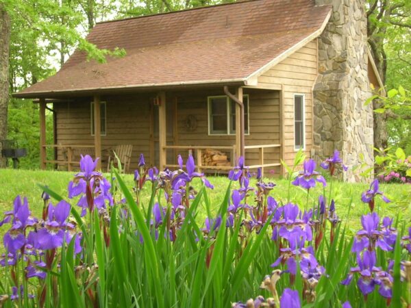 Blue Moss Cabin